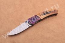 MIDDLE MAMMOTH FOLDER
